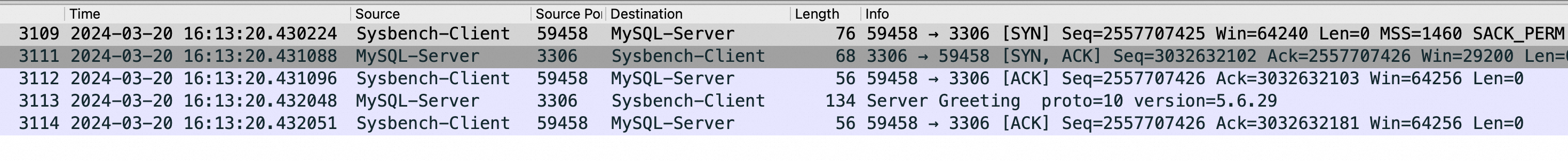 image-20240320181258965