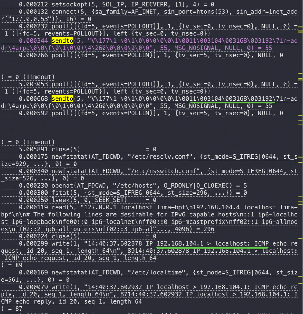 image-20241008144145663